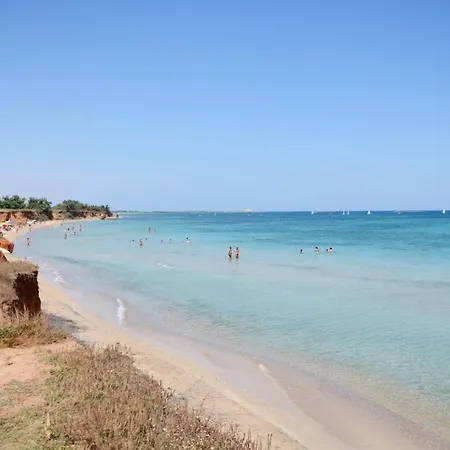 Roseti Di Campi *